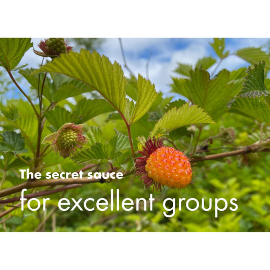 image for this article