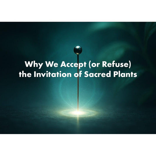 image for this article